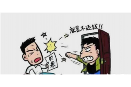 铜陵为什么选择专业追讨公司来处理您的债务纠纷？